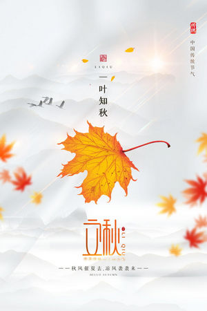 传统节日24节气立秋海报