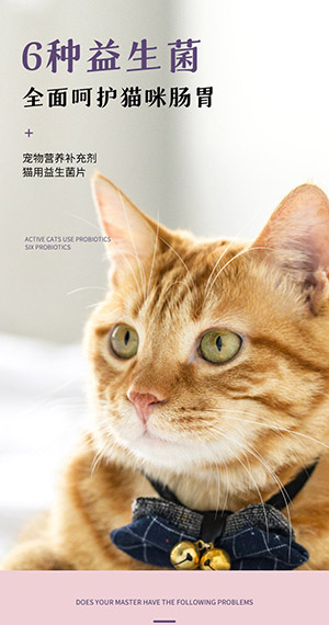 电商淘宝产品详情页模板